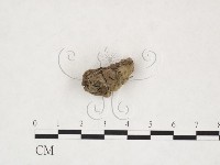 登錄號:F0025983藏品圖，第3張