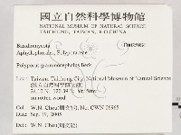登錄號:F0025984藏品圖，第2張