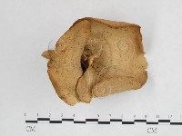 登錄號:F0025984藏品圖，第1張