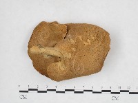 登錄號:F0025984藏品圖，第3張