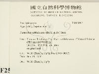 登錄號:F0025987藏品圖，第2張