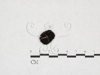登錄號:F0025987藏品圖，第1張