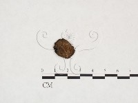 登錄號:F0025987藏品圖，第3張