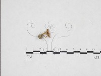 登錄號:F0025988藏品圖，第3張