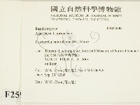 登錄號:F0025990藏品圖，第2張