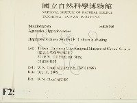 登錄號:F0025995藏品圖，第2張