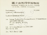 登錄號:F0025996藏品圖，第2張