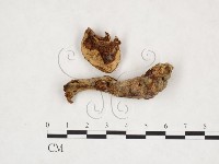 登錄號:F0025996藏品圖，第1張