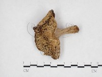 登錄號:F0025997藏品圖，第3張