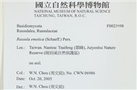 登錄號:F0025998藏品圖，第4張