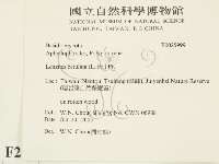 登錄號:F0025999藏品圖，第2張