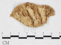 登錄號:F0025999藏品圖，第1張