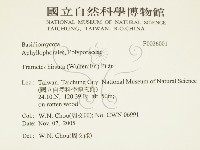 登錄號:F0026001藏品圖，第2張