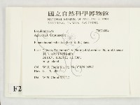 登錄號:F0026004藏品圖，第2張