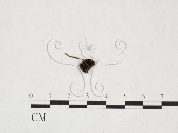 登錄號:F0026004藏品圖，第1張