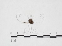 登錄號:F0026004藏品圖，第3張