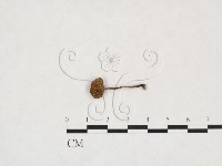 登錄號:F0026005藏品圖，第1張