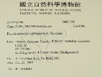 登錄號:F0026006藏品圖，第2張
