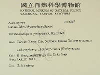 登錄號:F0026007藏品圖，第2張