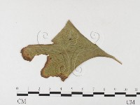 登錄號:F0026007藏品圖，第3張