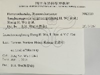 桑黃藏品圖，第2張