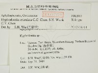 登錄號:F0026013藏品圖，第2張