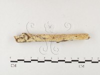 登錄號:F0026013藏品圖，第1張