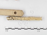 登錄號:F0026013藏品圖，第3張