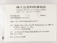 登錄號:F0026015藏品圖，第2張