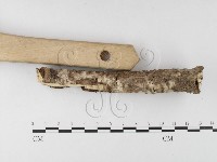 登錄號:F0026015藏品圖，第3張