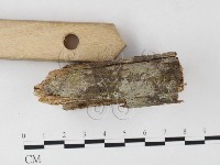 登錄號:F0026016藏品圖，第3張