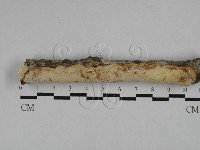 登錄號:F0026018藏品圖，第1張