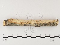 登錄號:F0026018藏品圖，第3張