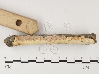 登錄號:F0026018藏品圖，第4張