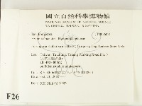 登錄號:F0026021藏品圖，第2張