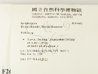 木層孔菌屬藏品圖，第2張