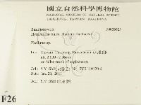 木層孔菌屬藏品圖，第2張