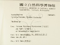 木層孔菌屬藏品圖，第2張