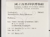 木層孔菌屬藏品圖，第2張