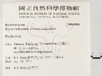 木層孔菌屬藏品圖，第2張