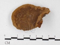 登錄號:F0026030藏品圖，第1張