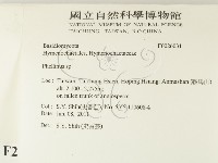 木層孔菌屬藏品圖，第2張