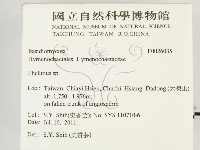 木層孔菌屬藏品圖，第2張