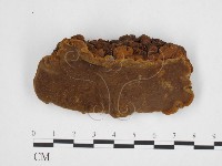 登錄號:F0026036藏品圖，第3張