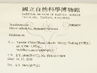 木層孔菌屬藏品圖，第2張