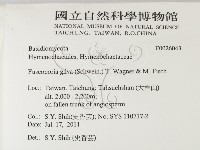 登錄號:F0026043藏品圖，第2張