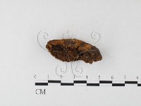 登錄號:F0026043藏品圖，第1張