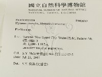 木層孔菌屬藏品圖，第2張