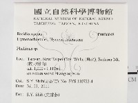 木層孔菌屬藏品圖，第2張