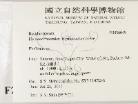 木層孔菌屬藏品圖，第2張
